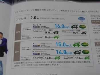 P1130736.jpg