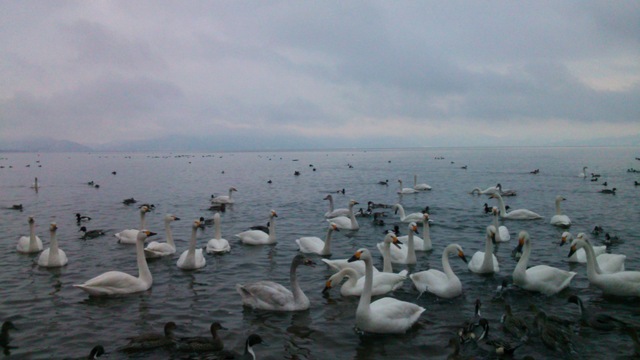 DSC_0371.jpg