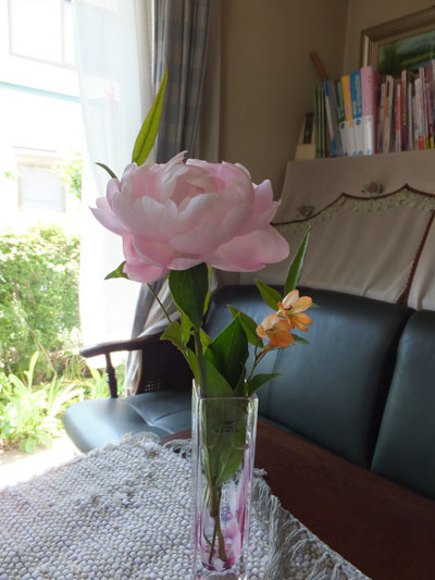 higashino5-19-5.jpg