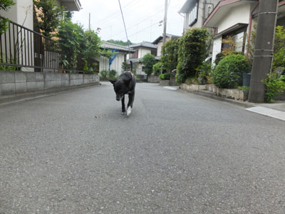 kitaku6-5-11jpg.jpg