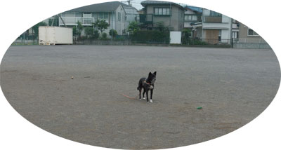 kitaku6-5-3.jpg