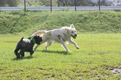 IMG_1878_convert_20120917230336.jpg