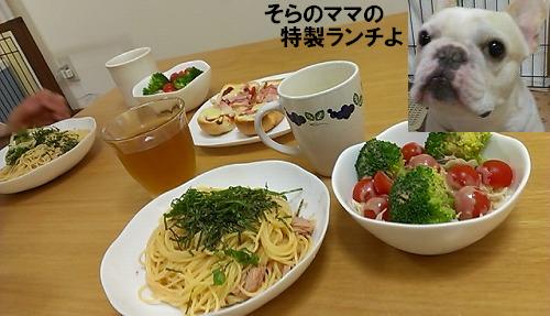 IMAG0294.jpg