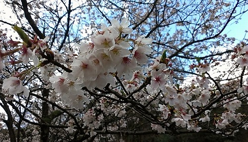 IMAG0369.jpg