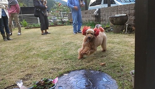 IMAG0396_BURST002.jpg