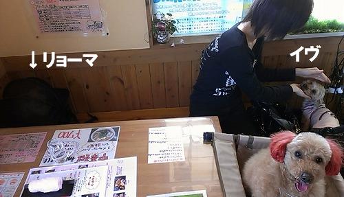 IMAG0403_20130411164401.jpg