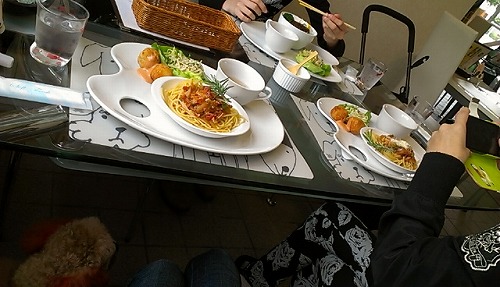 IMAG0420.jpg