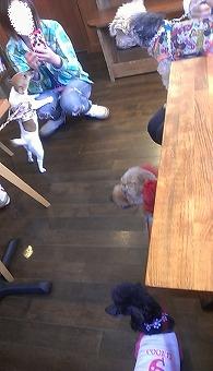 IMAG0447_BURST001.jpg