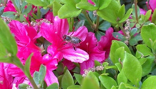 IMAG0493_BURST001.jpg