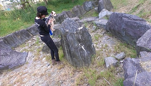 IMAG0526.jpg