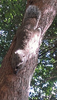 IMAG0560_BURST002.jpg