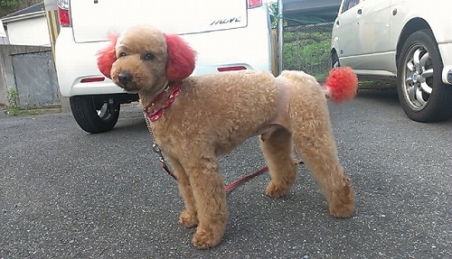 IMAG0572.jpg