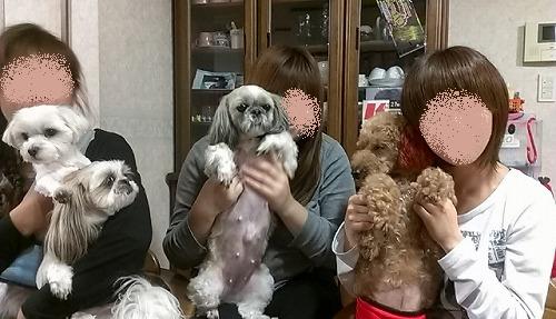 IMAG0632.jpg