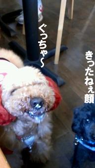 VIDEO0009_0000051144.jpg