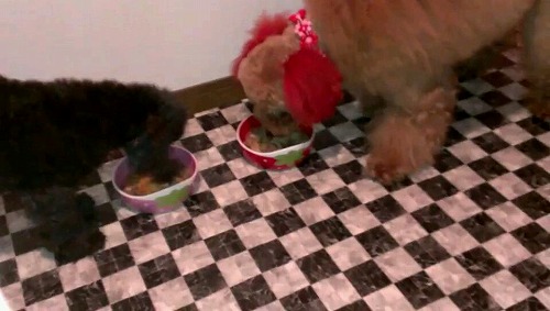 VIDEO0012_0000011528.jpg