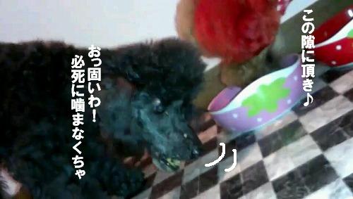 VIDEO0012_0000064636.jpg