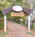 DSCF4739.jpg