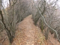 DSCF4749.jpg