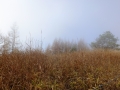 DSCF4759.jpg