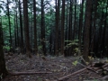 DSCF4821.jpg