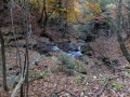 DSCF4824.jpg