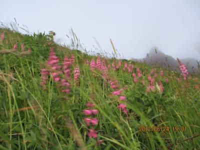 20120蟷エ6譛・4譌・竭、_convert_20120702092210