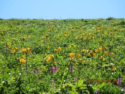 2012蟷エ6譛・5譌・竭」_convert_20120702150637