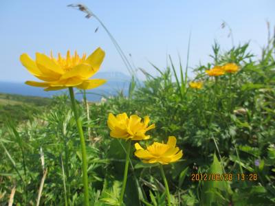 2012蟷エ6譛・8譌・竭・_convert_20120712201838