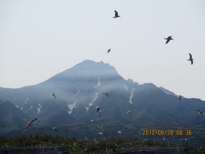2012蟷エ6譛・8譌・竭_convert_20120712201518