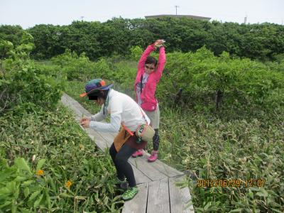 2012蟷エ6譛・9譌・竭」_convert_20120714102825