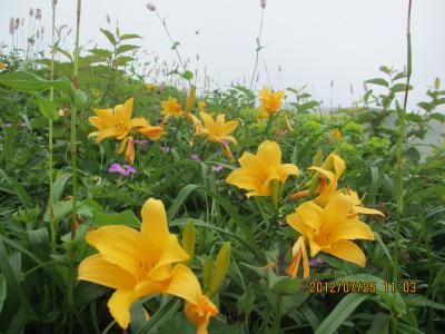 2012蟷エ7譛・5譌・竭ヲ_convert_20120728232514