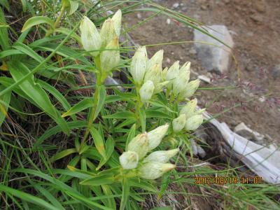 2012蟷エ8譛・9譌・竭ヲ_convert_20120820195832