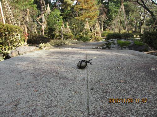 2012蟷エ11譛・8譌・竭ェ_convert_20121128205848