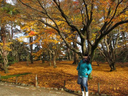 2012蟷エ11譛・8譌・竭_convert_20121128205409