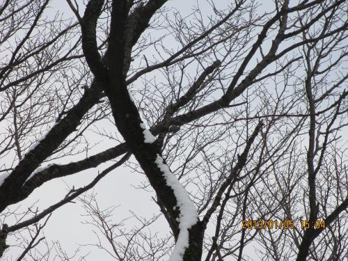 2013蟷エ1譛・譌・竭ェ_convert_20130107185534