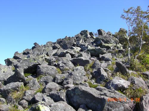 CIMG1202_convert_20121124113455.jpg