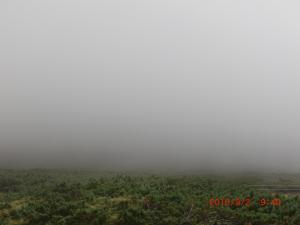 CIMG1571_convert_20120505103822.jpg