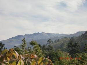 CIMG2070_convert_20120505104029.jpg
