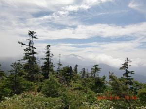 CIMG2079_convert_20120505104159.jpg
