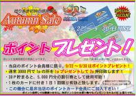 セール5