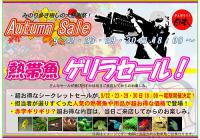 セール4