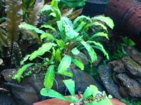 DSCN0910.jpg