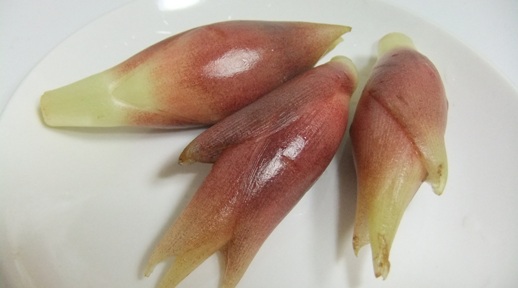 みょうが