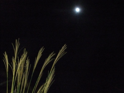DSCF3149.jpg