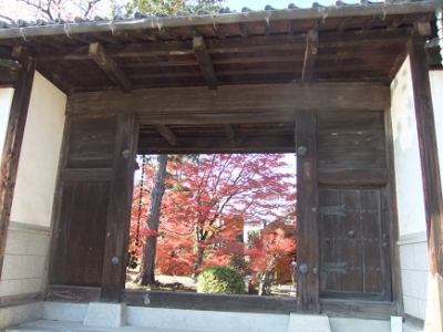 DSCF3335.jpg