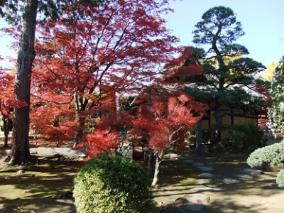 DSCF3336.jpg