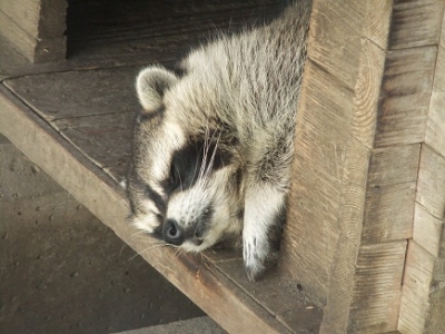 DSCF3344.jpg