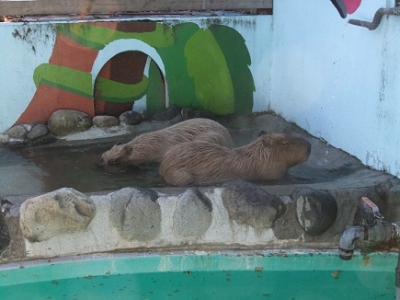 DSCF3346.jpg