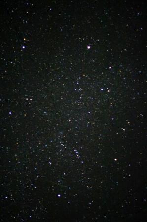 IMGP60642.jpg