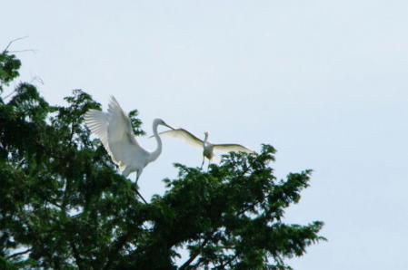 IMGP9674.jpg